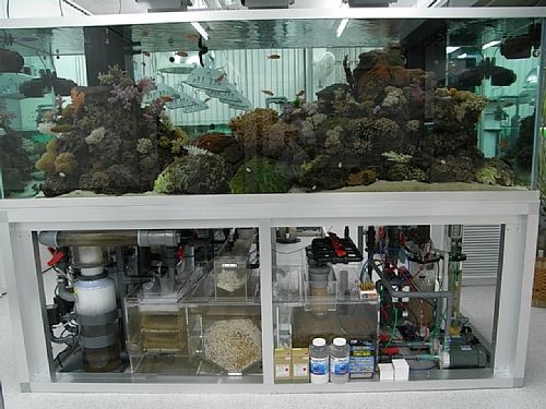 正面入口の海水魚水槽のシステム