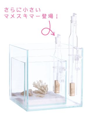 マメスキマー３ミニ【マメデザイン】海水飼育水の汚れ除去・水